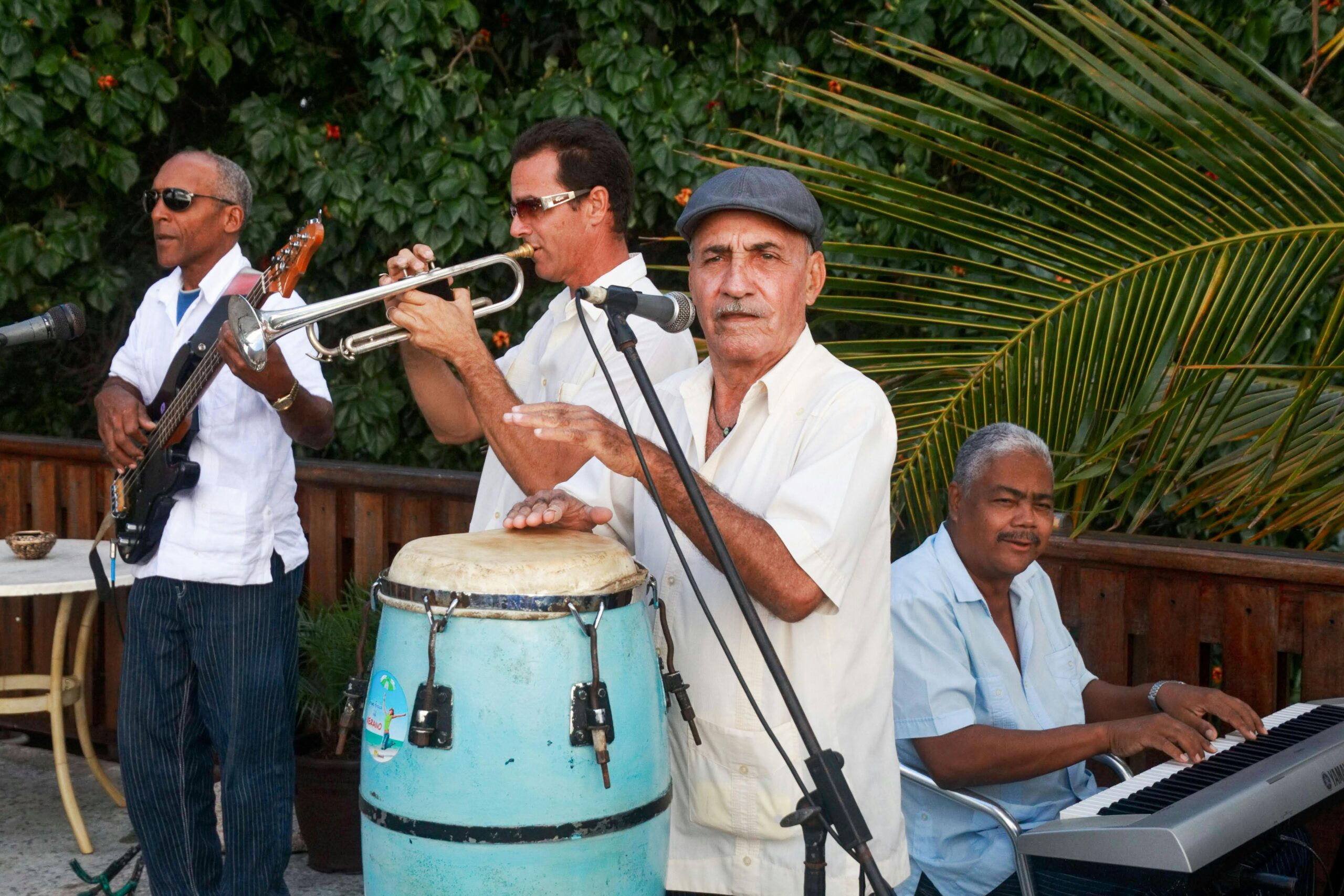 Groupe de musiciens jouant des instruments en plein air, entourés de végétation.